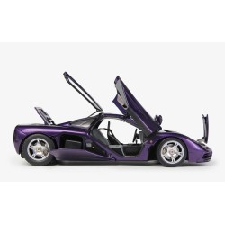 McLaren F1 XP5 (purple)