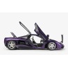 McLaren F1 XP5 (purple)