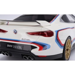 ts0495 BMW M4 30 CSL